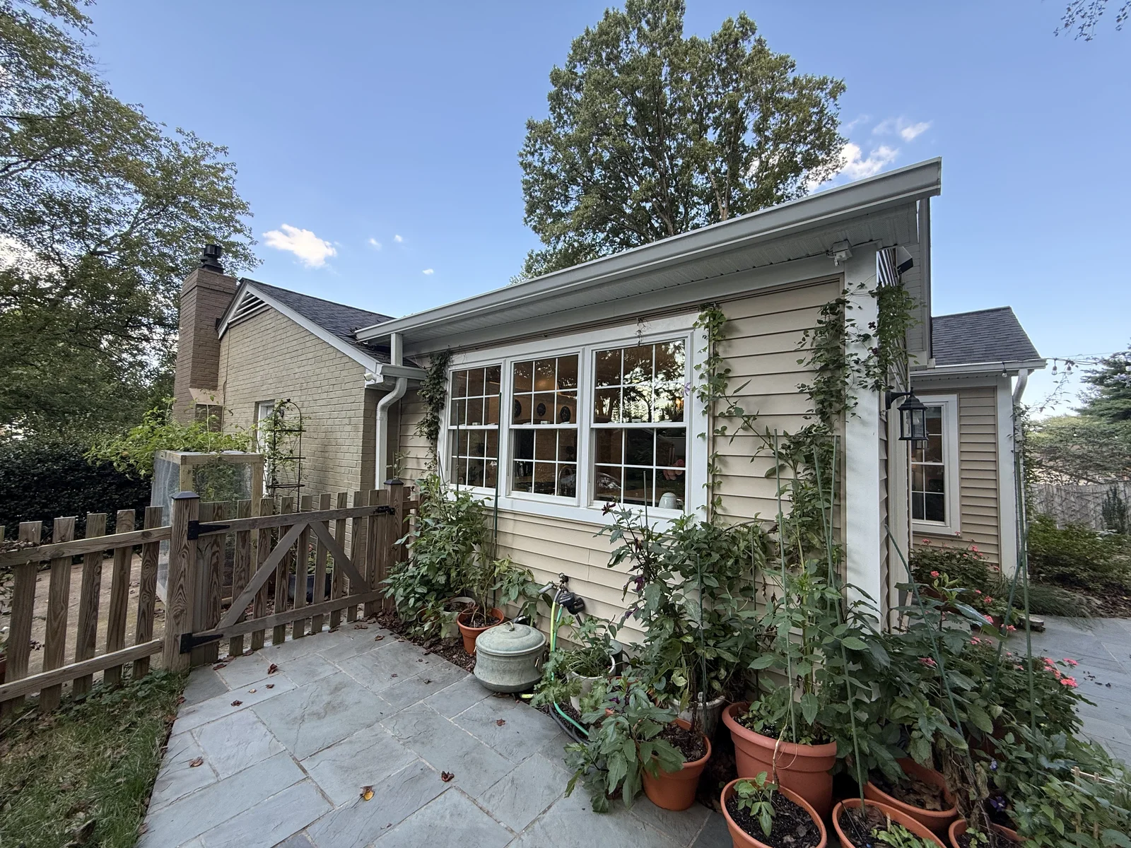 The French Fireback Kitchen rear addition